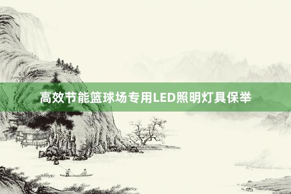 高效节能篮球场专用LED照明灯具保举